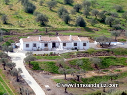 The property, gardens and land The property, gardens and land